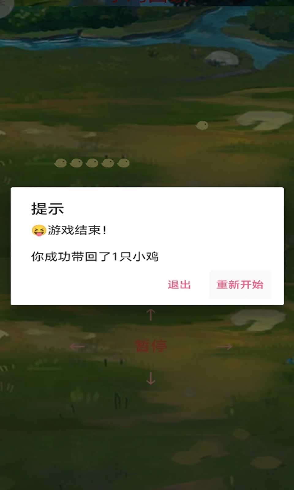 小雞回家