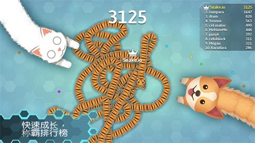 snakeio国际版安卓
