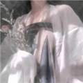 替嫁之王后秘史破解版