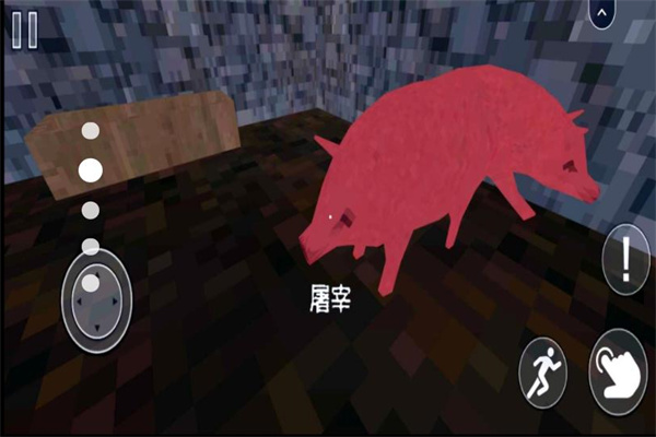 小豬的生活
