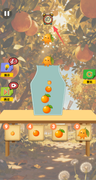 璀璨金橘圖鑒