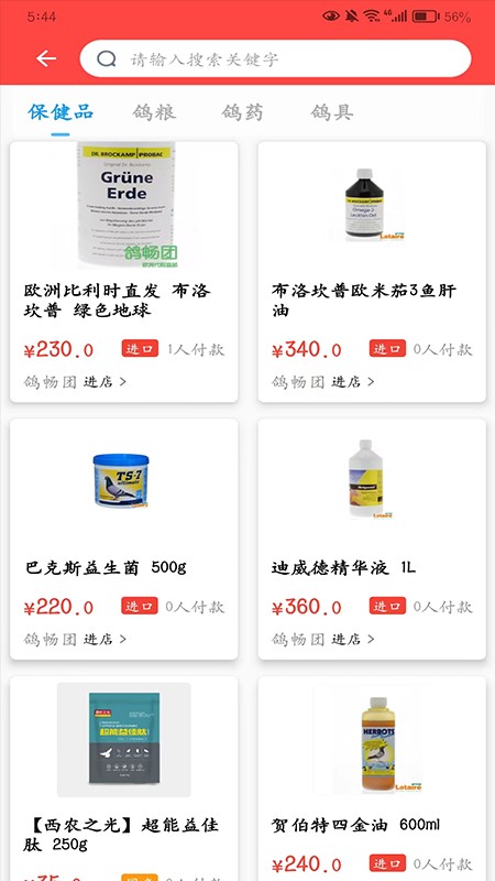 鴿小寶