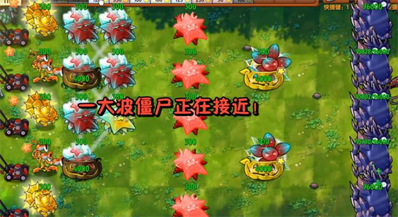究极植物图鉴配图5