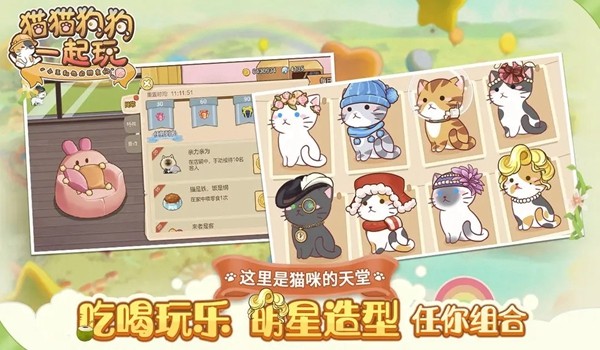 貓貓狗狗一起玩宣傳圖