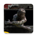無盡噩夢2詭醫院無限材料版