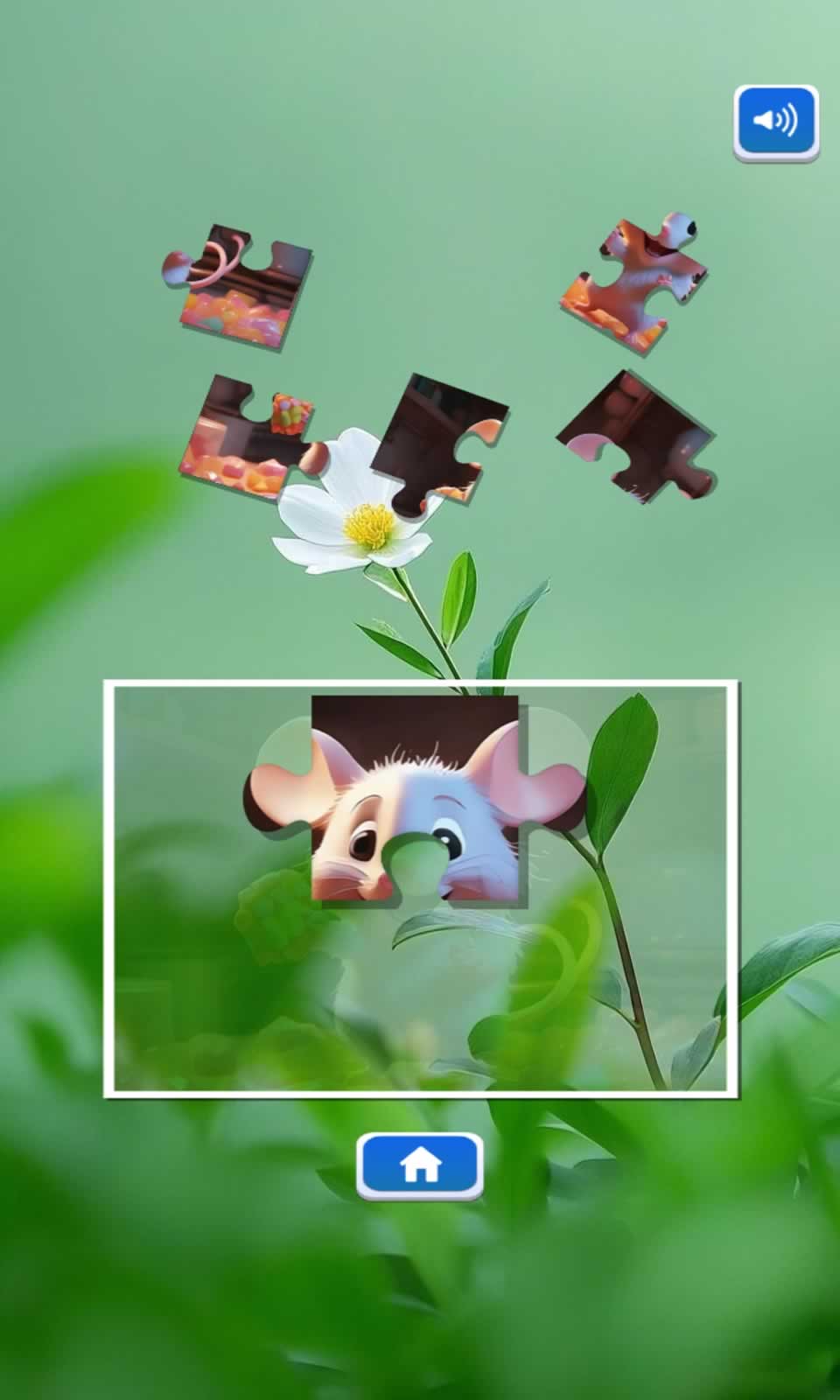 妙趣來闖關