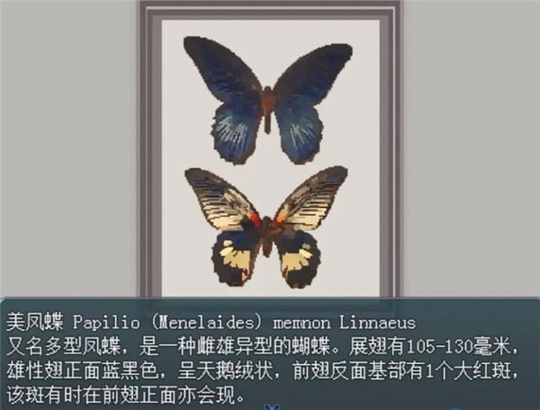 白夜博物館安卓最新版