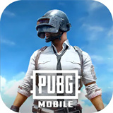 PUBGM國際服