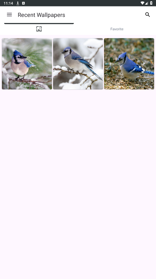 Blue Jay Wallpapers