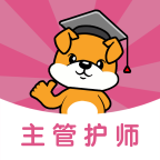 主管護(hù)師刷題狗