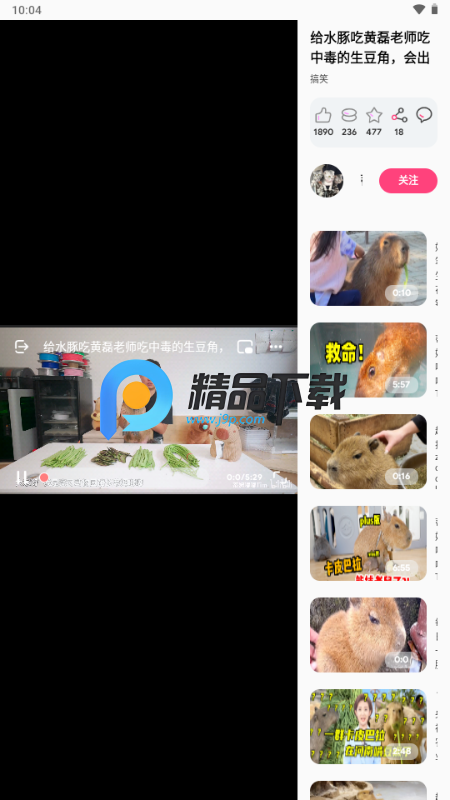 BiliLite手机版