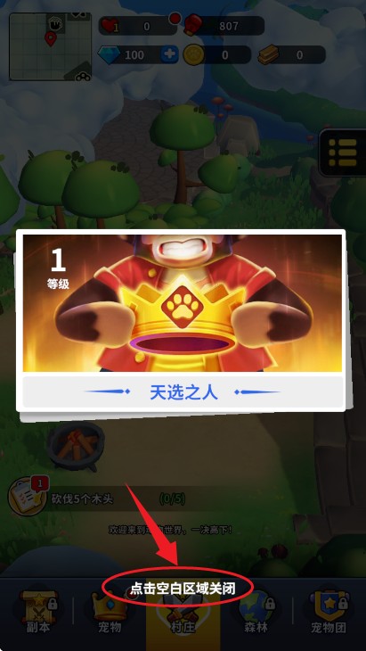 高能宠物团