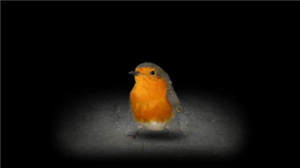 开局一颗种子游戏宣传图