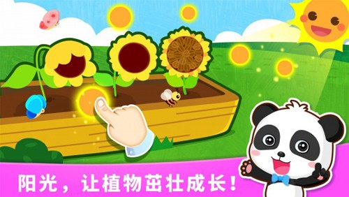 宝宝天气认知最新版