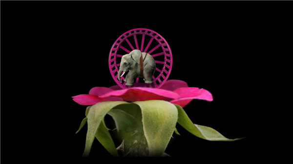 开局一颗种子最新版