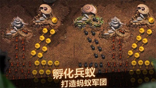 小小蚁国台湾版