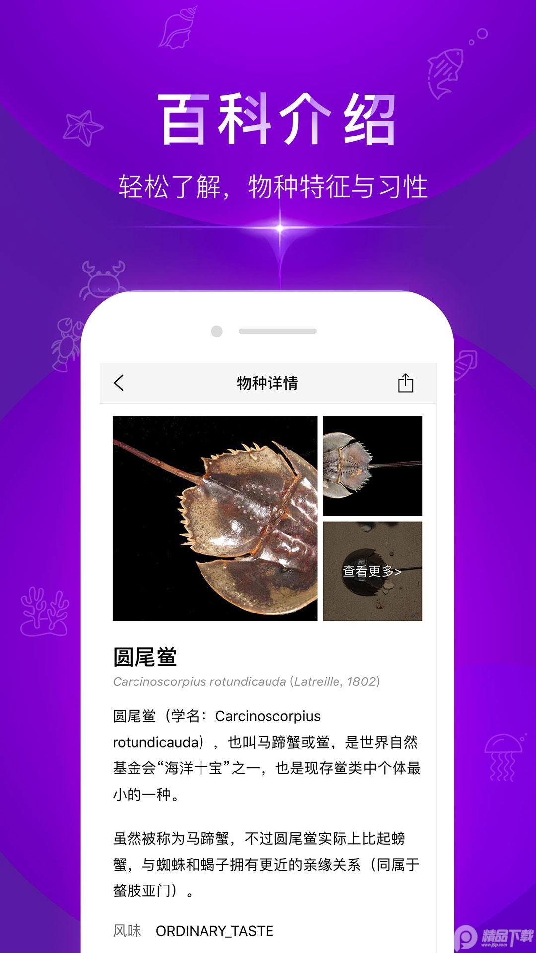 问鱼拍照识别海洋生物