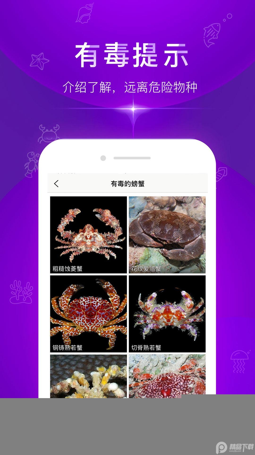 问鱼拍照识别海洋生物
