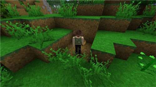 生存战争2新手入门攻略5