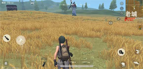 PUBG MOBILE LITE2