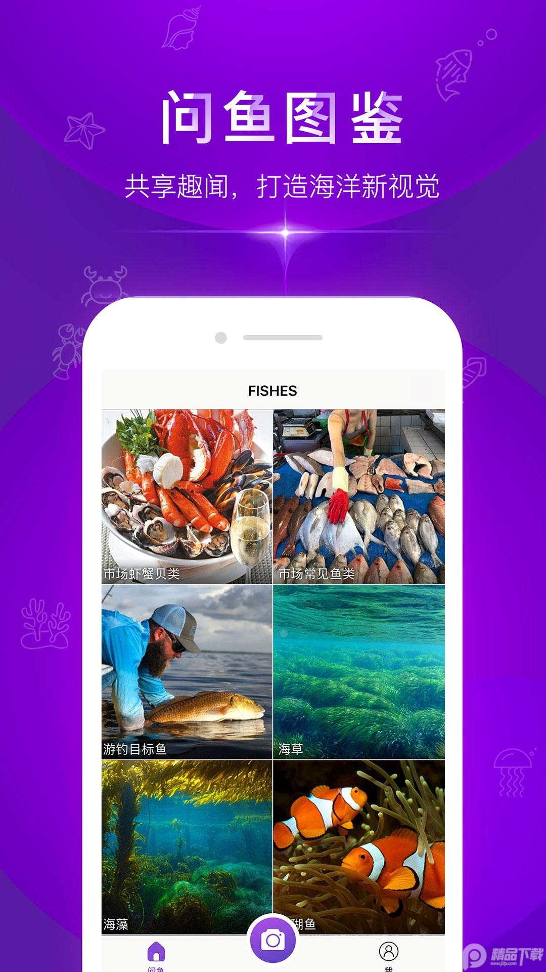 问鱼拍照识别海洋生物