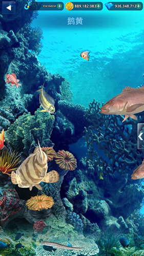怪鱼猎人2024破解版无限等级无限钻石无限金币游戏特色