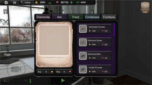 蚂蚁模拟大亨新手攻略2
