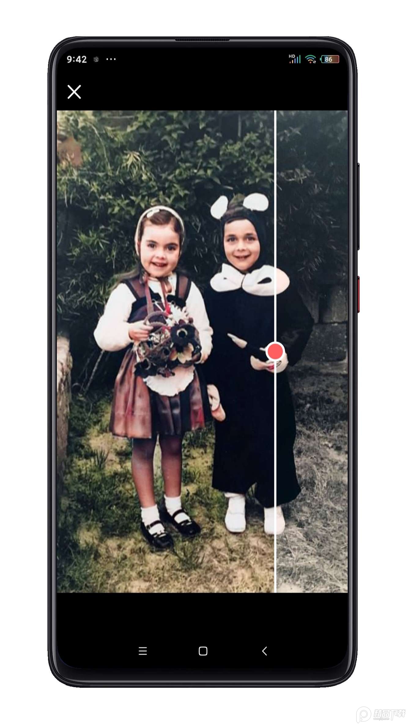 Colorize着色黑白照片上色软件