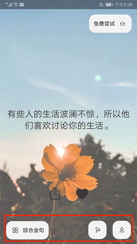 Moti(图6) Moti(图6)
