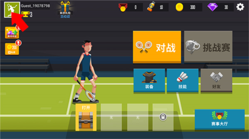 羽毛球高高手国际版中文版12