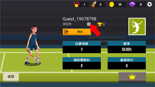 羽毛球高高手国际版中文版13