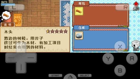 牧场物语风之集市安卓汉化版2