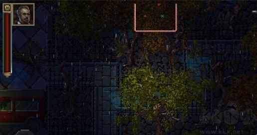 骨头的用法说明配图3