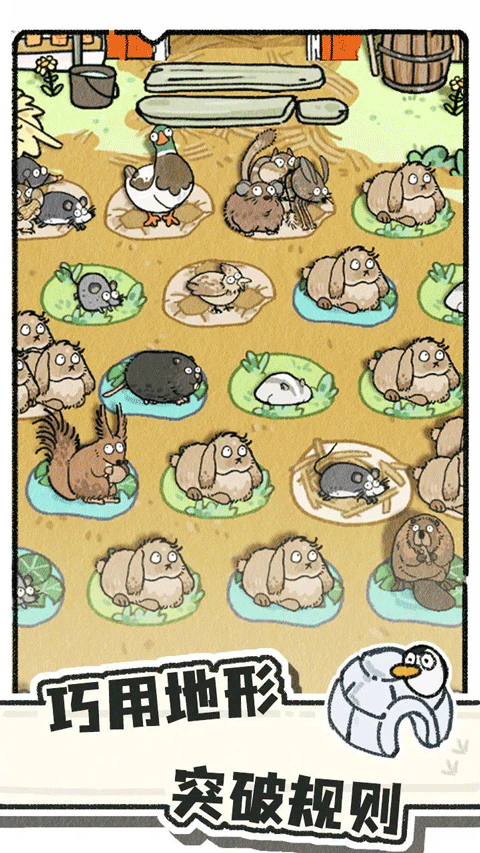 猫神牧场官方正版