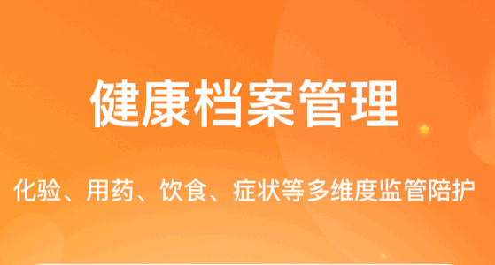 肾上线手机最新版