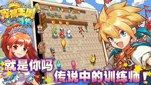 宠物王国外传联网版