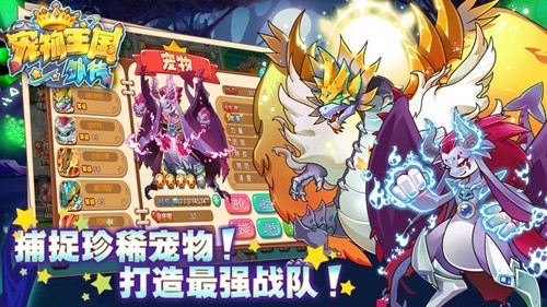 宠物王国外传联网版