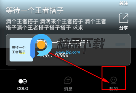 搭子Colo 搭子Colo