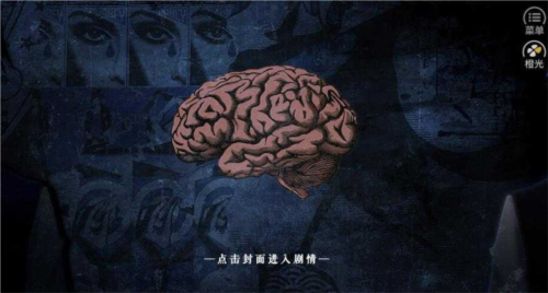 被谋害的凶手A图片3