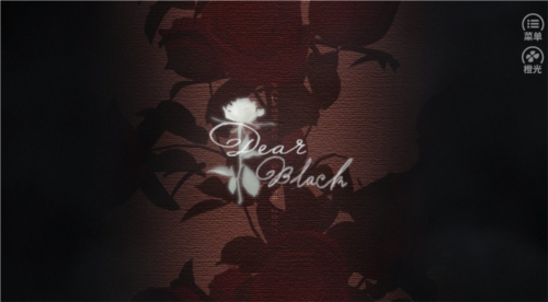 亲爱的布莱克图片5