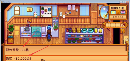 stardew valley无限金币版8