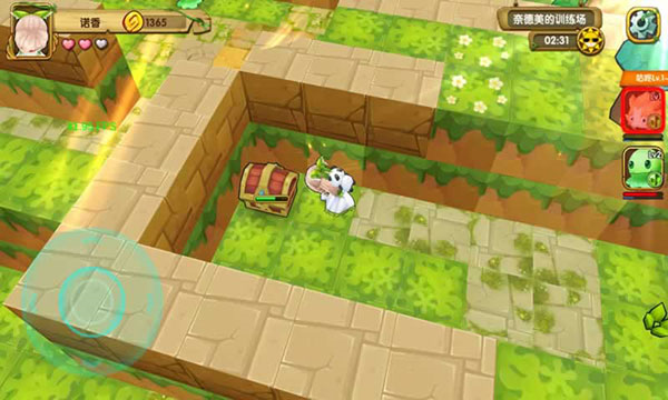 宠物迷宫最新版