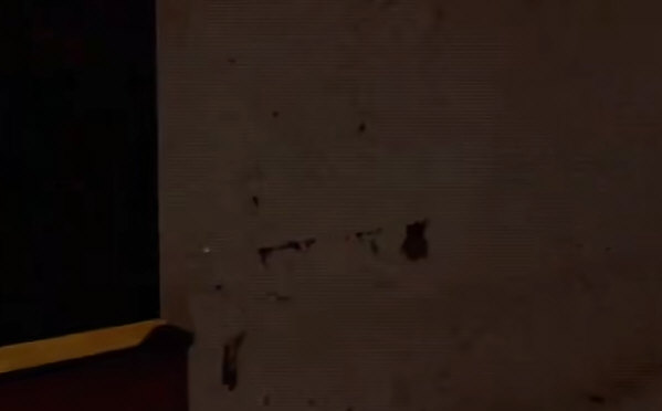 skinface游戏正版