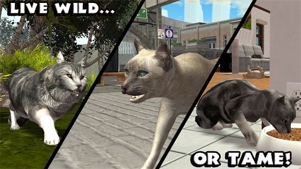 终极猫模拟器最新版2026