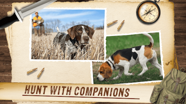 野生动物狩猎模拟器无限金币版