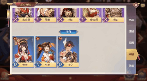 三国志幻想大陆贺岁版17