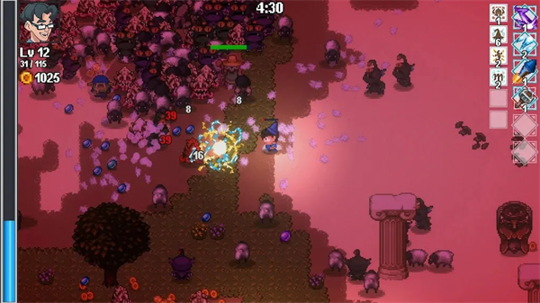 书呆子幸存者正版