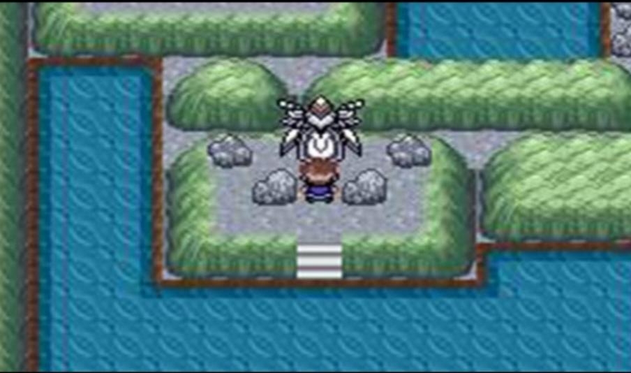 口袋妖怪口袋暴龙修复版