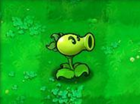 植物大战僵尸北美XI版9