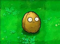 植物大战僵尸北美XI版5